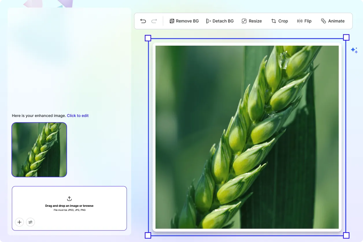 Free AI Image Enhancer Improve Photo Quality Online